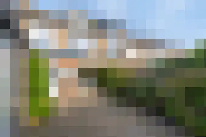 Beukenlaan 9 Roosendaal thumbnail 25