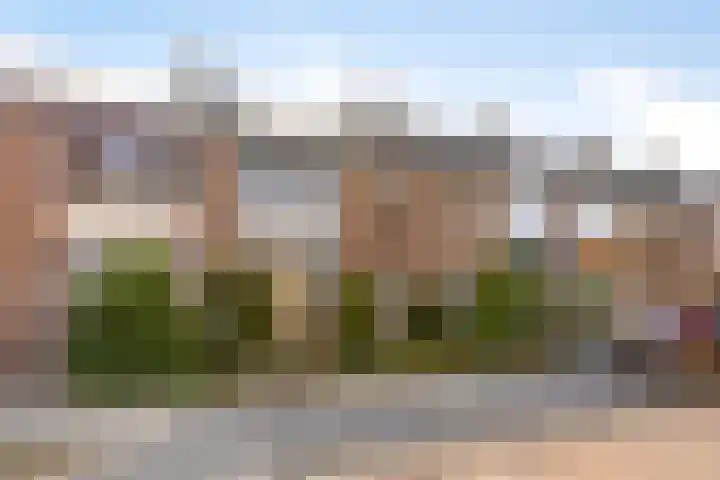 Beukenlaan 9 Roosendaal thumbnail 30