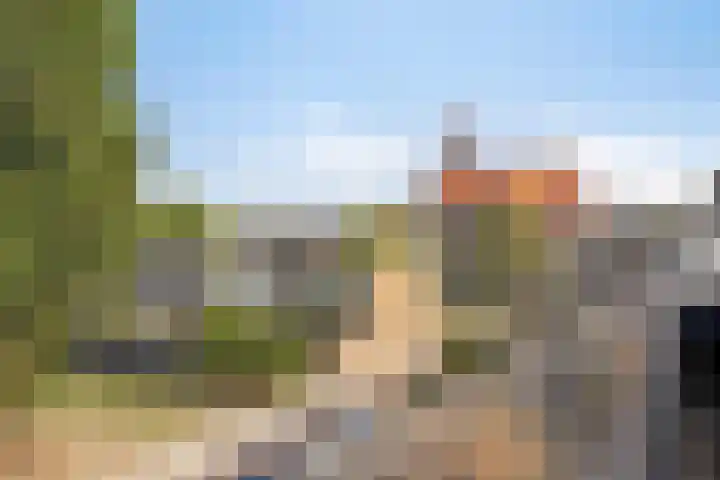 Beukenlaan 9 Roosendaal thumbnail 32