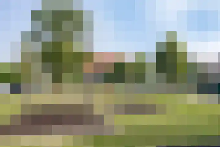 Beukenlaan 9 Roosendaal thumbnail 33
