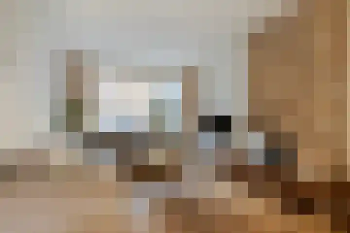 Beukenlaan 9 Roosendaal thumbnail 4