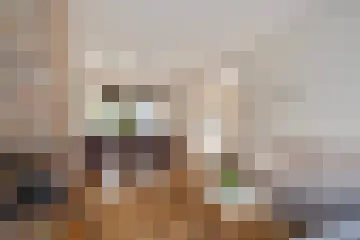 Beukenlaan 9 Roosendaal thumbnail 6