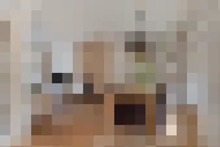 Beukenlaan 9 Roosendaal thumbnail 9