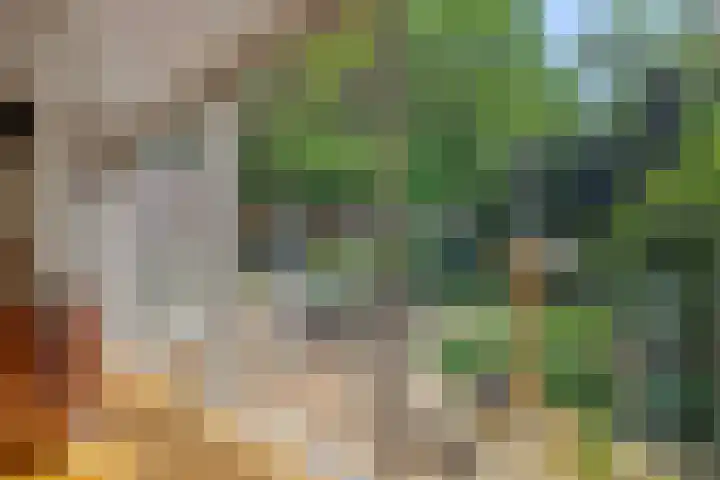 Beukenlaan 9 Rosmalen thumbnail 12