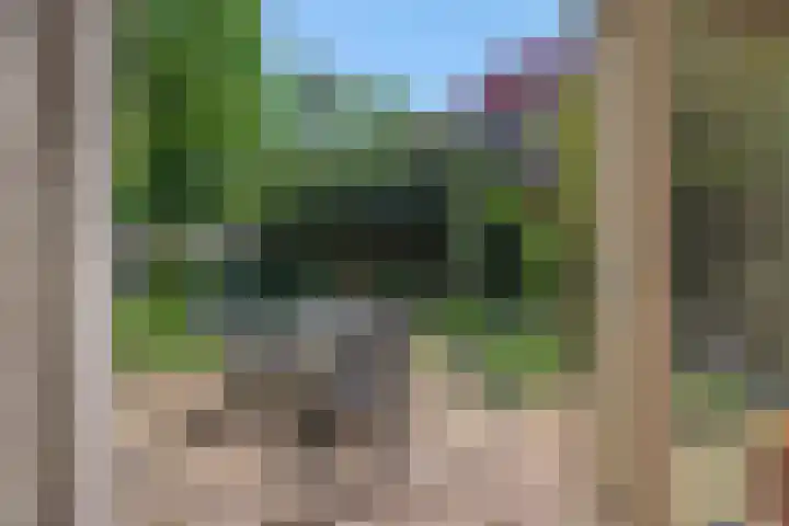 Beukenlaan 9 Rosmalen thumbnail 13