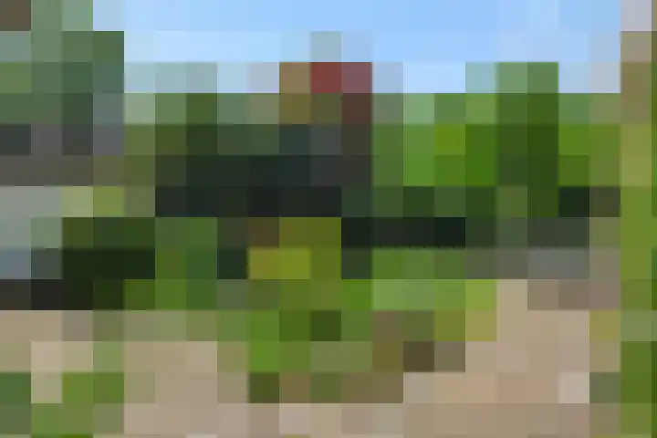 Beukenlaan 9 Rosmalen thumbnail 19