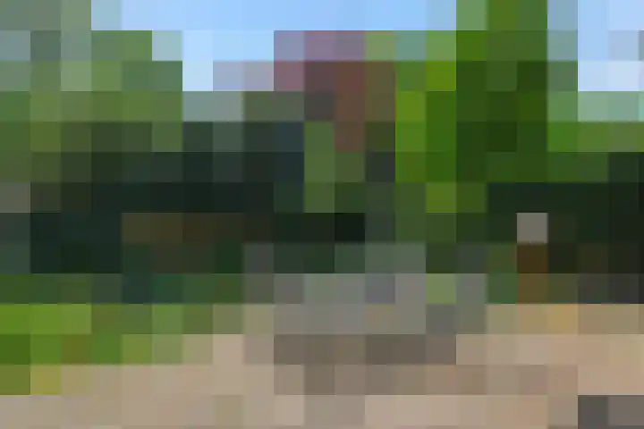 Beukenlaan 9 Rosmalen thumbnail 20