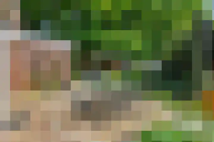 Beukenlaan 9 Rosmalen thumbnail 21