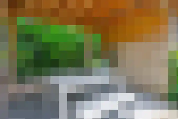 Beukenlaan 9 Rosmalen thumbnail 23