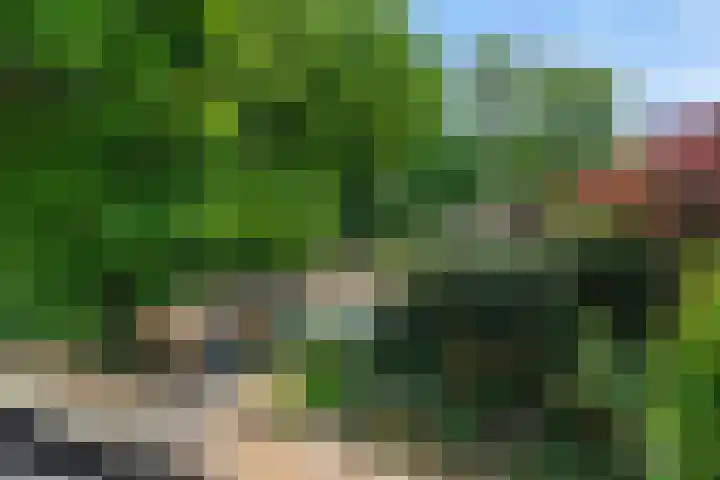 Beukenlaan 9 Rosmalen thumbnail 26