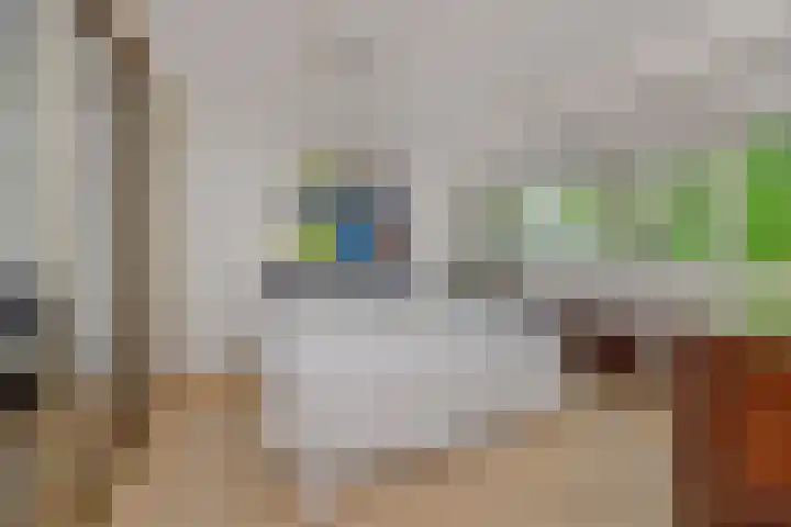 Beukenlaan 9 Rosmalen thumbnail 30