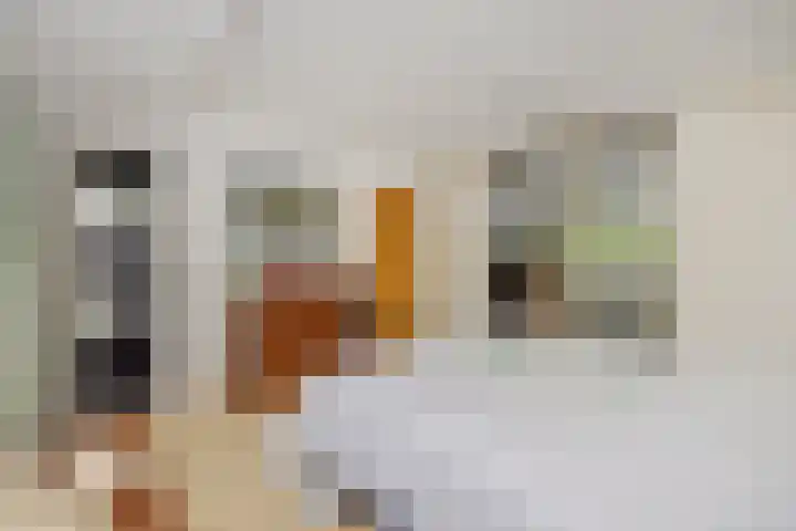 Beukenlaan 9 Rosmalen thumbnail 31