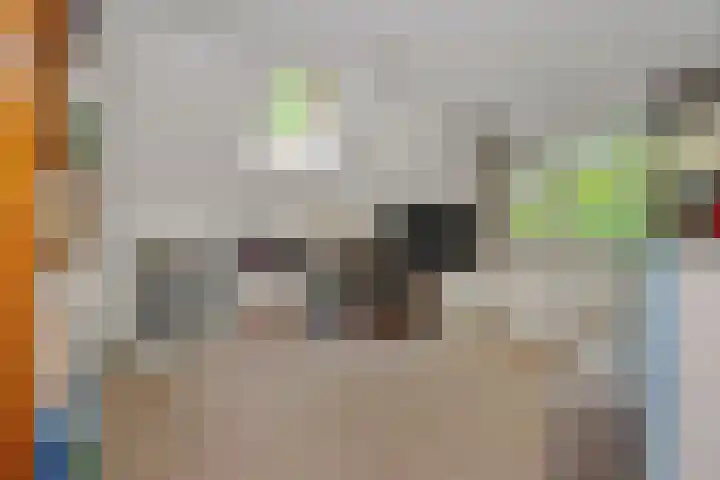 Beukenlaan 9 Rosmalen thumbnail 33