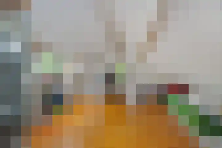 Beukenlaan 9 Rosmalen thumbnail 40