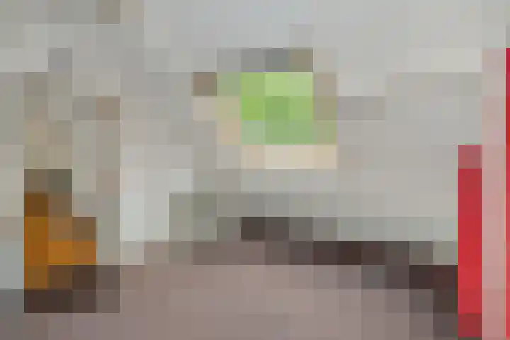 Beukenlaan 9 Rosmalen thumbnail 41