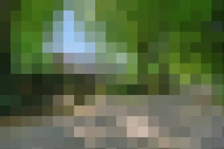 Beukenlaan 9 Rosmalen thumbnail 5