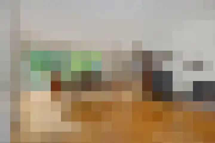 Beukenlaan 9 Rosmalen thumbnail 6