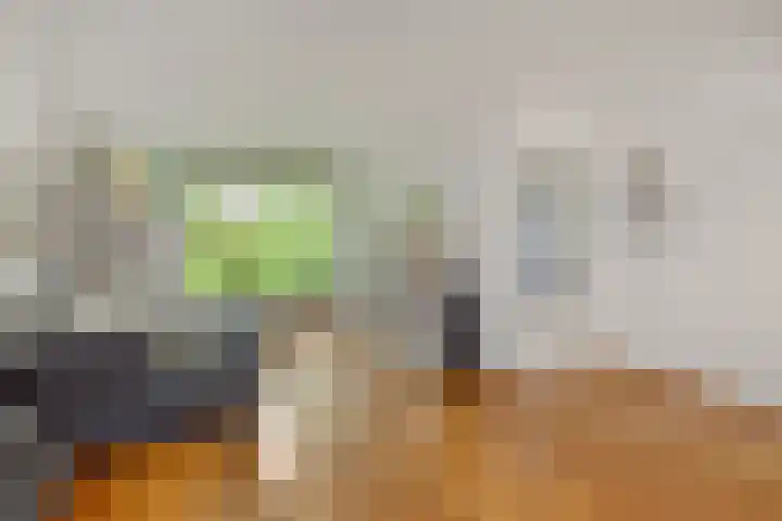 Beukenlaan 9 Rosmalen thumbnail 8