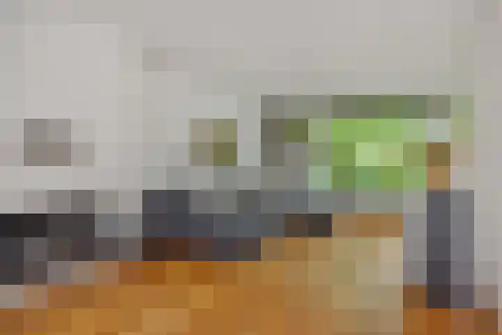 Beukenlaan 9 Rosmalen thumbnail 9