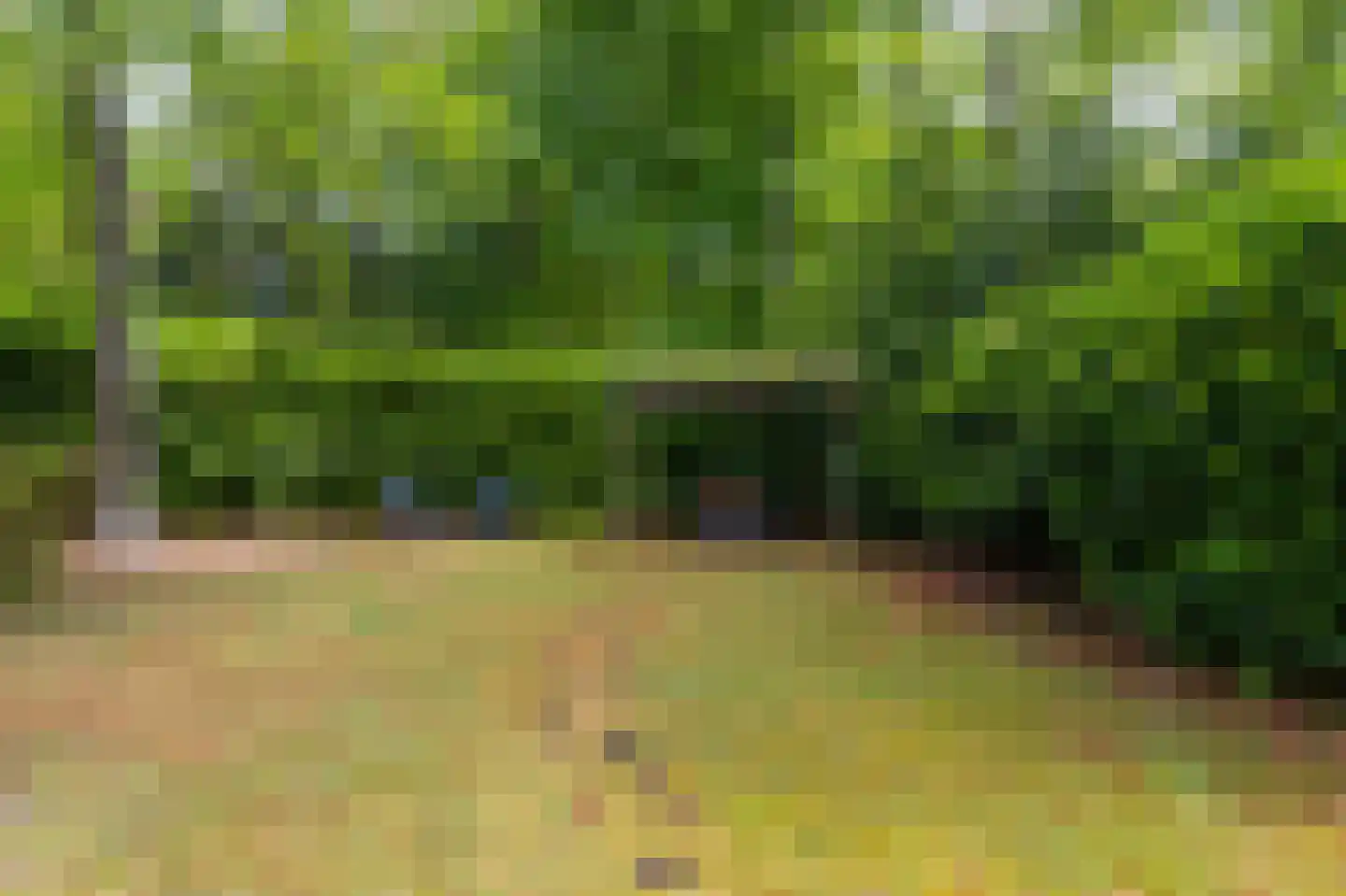 Beukenlaan Z 13 Oudemirdum thumbnail 11