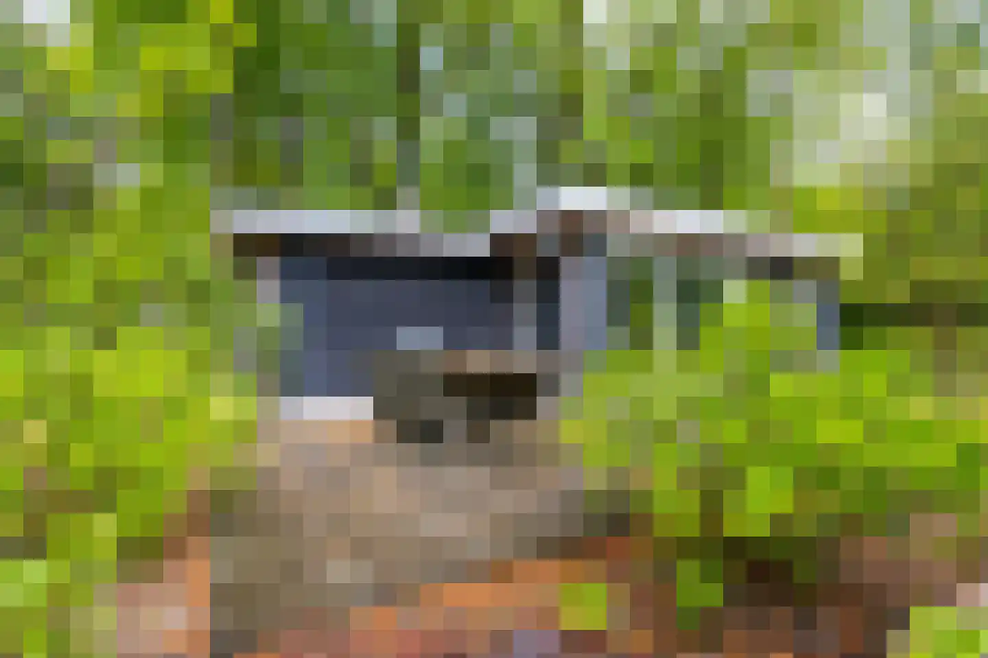 Beukenlaan Z 13 Oudemirdum thumbnail 13