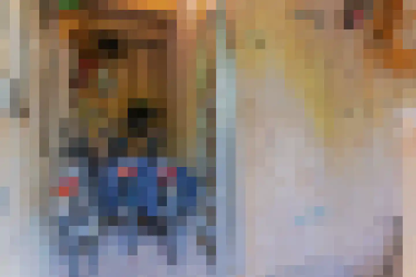 Beukenlaan Z 13 Oudemirdum thumbnail 17