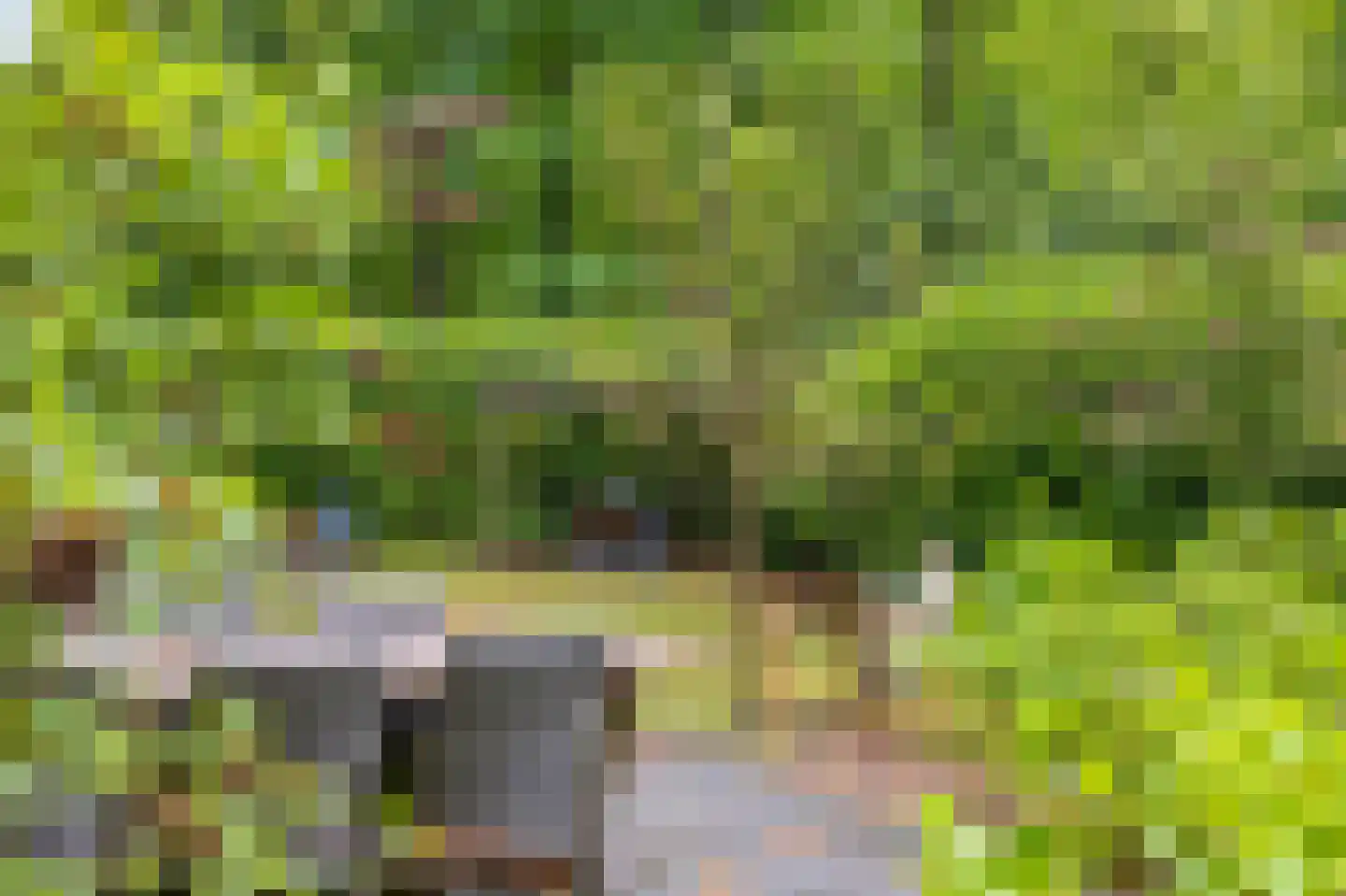 Beukenlaan Z 13 Oudemirdum thumbnail 18