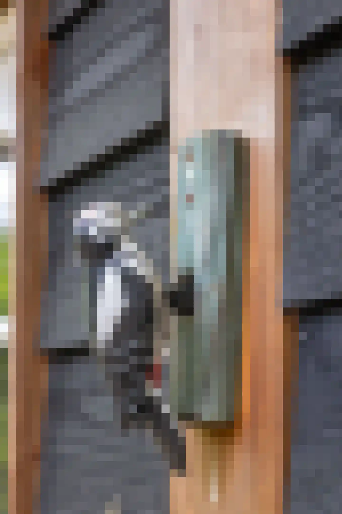 Beukenlaan Z 13 Oudemirdum thumbnail 20