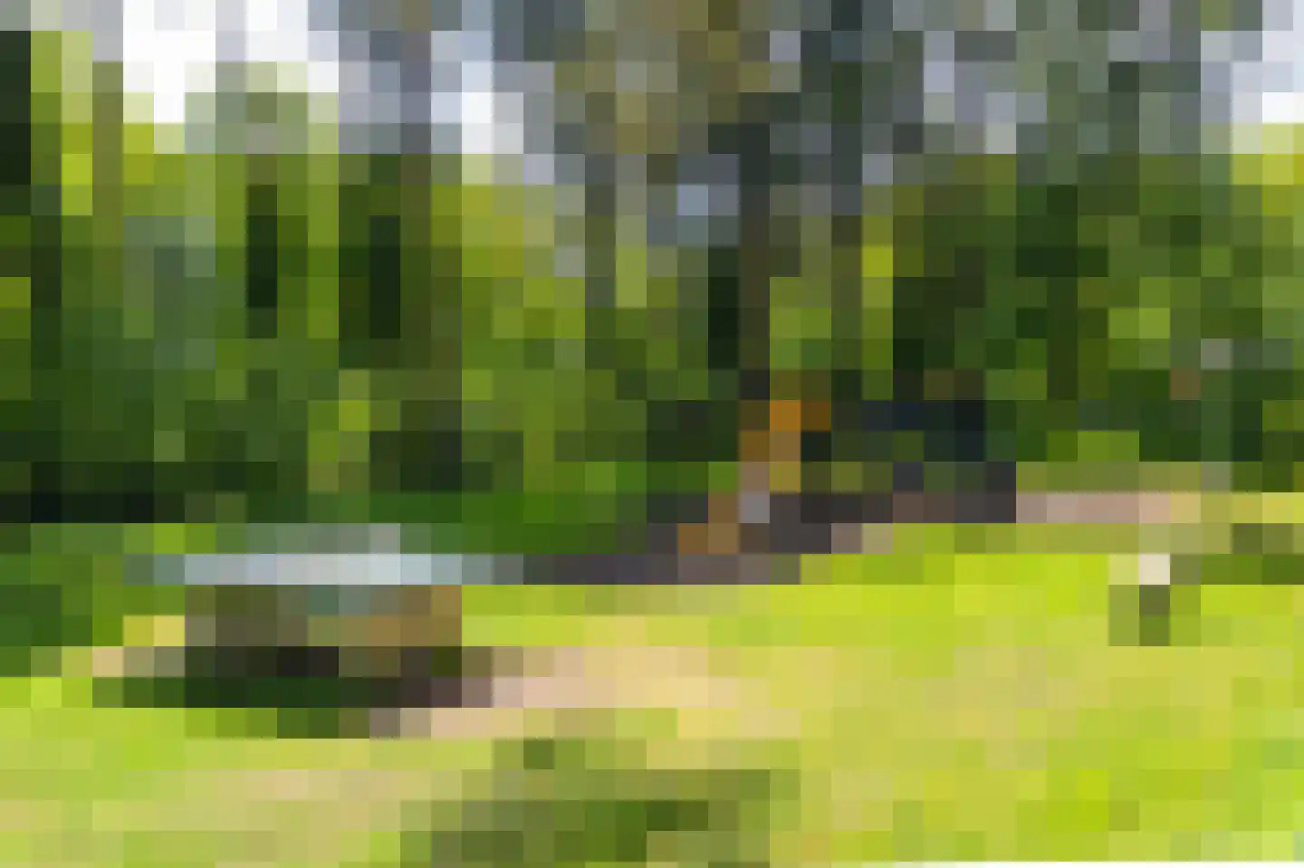 Beukenlaan Z 13 Oudemirdum thumbnail 44