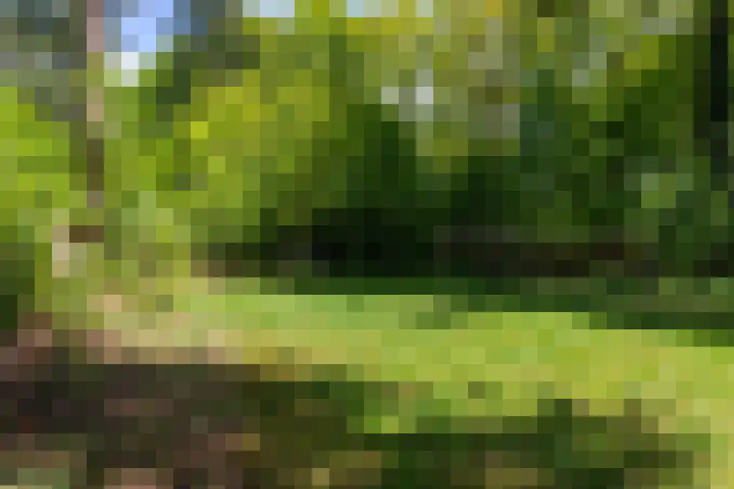 Beukenlaan Z 13 Oudemirdum thumbnail 45