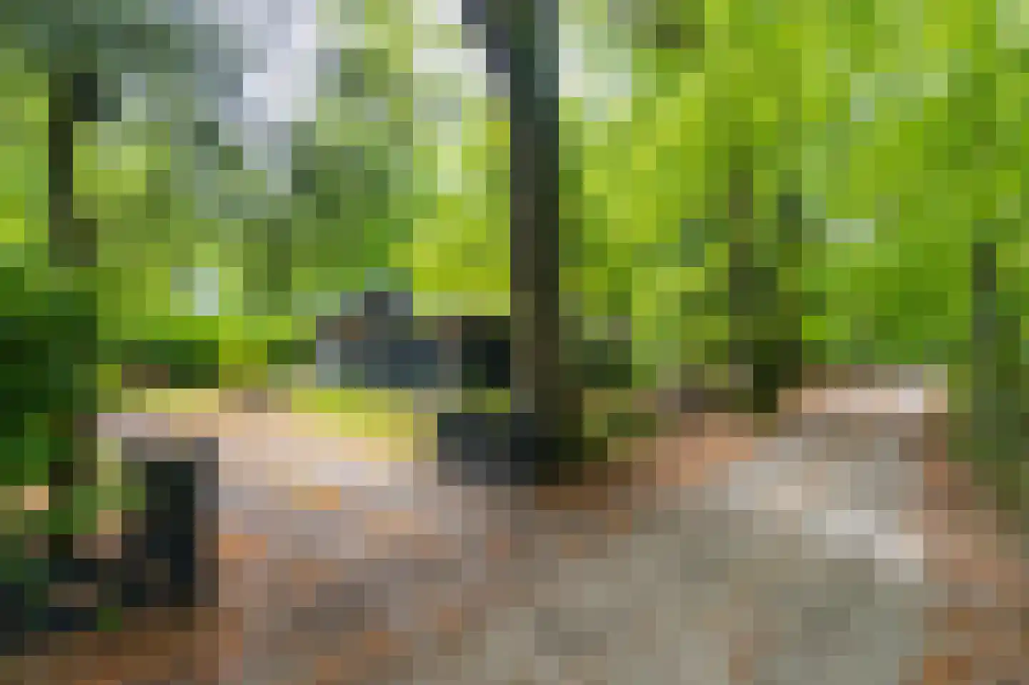 Beukenlaan Z 13 Oudemirdum thumbnail 5
