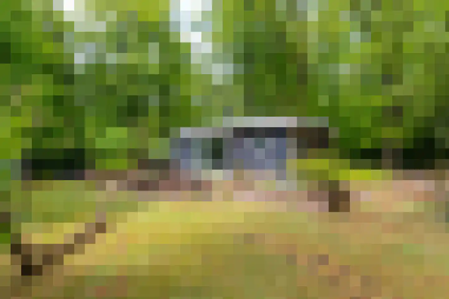 Beukenlaan Z 13 Oudemirdum thumbnail 9