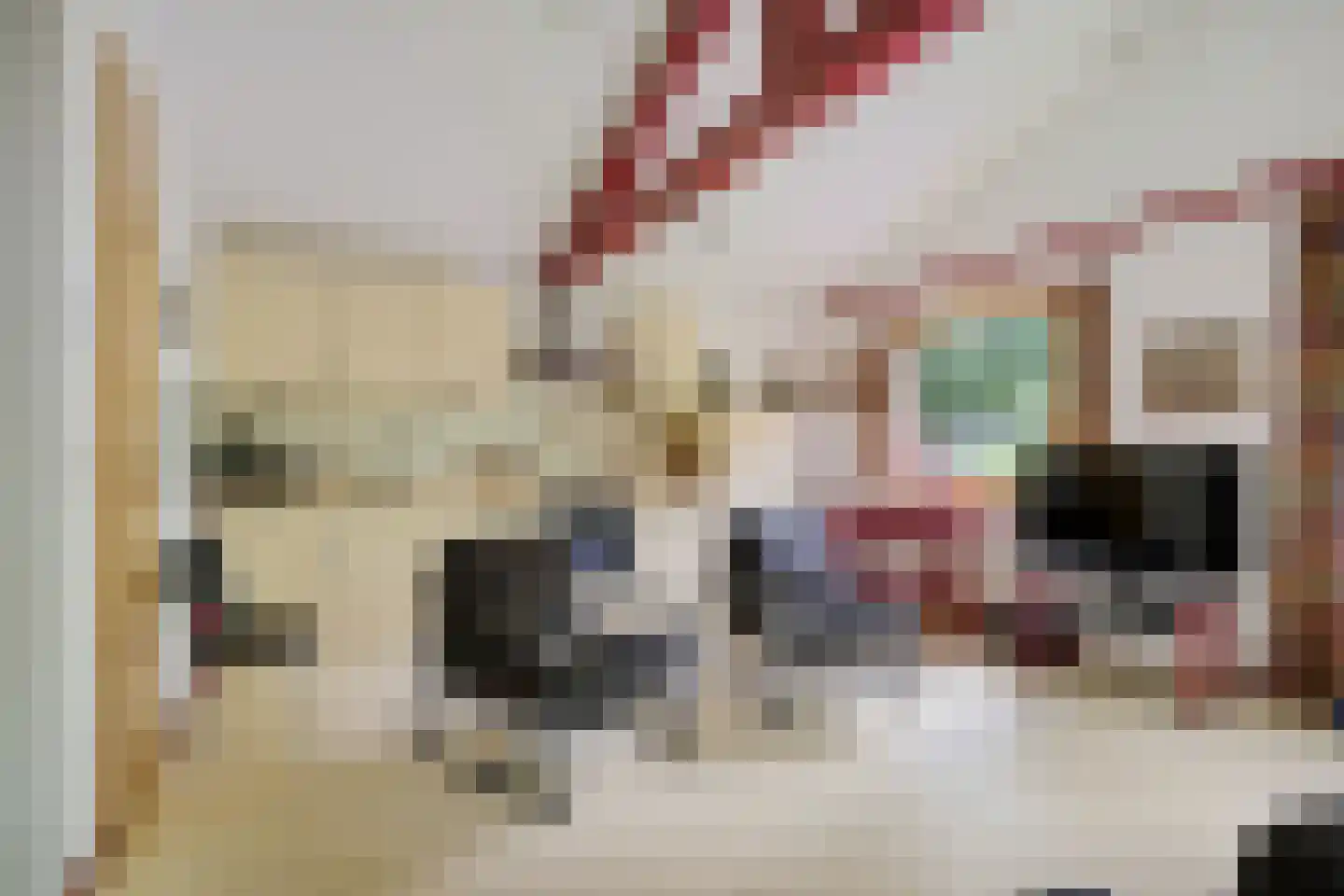 Beukenlaan Z 34 Oudemirdum thumbnail 12