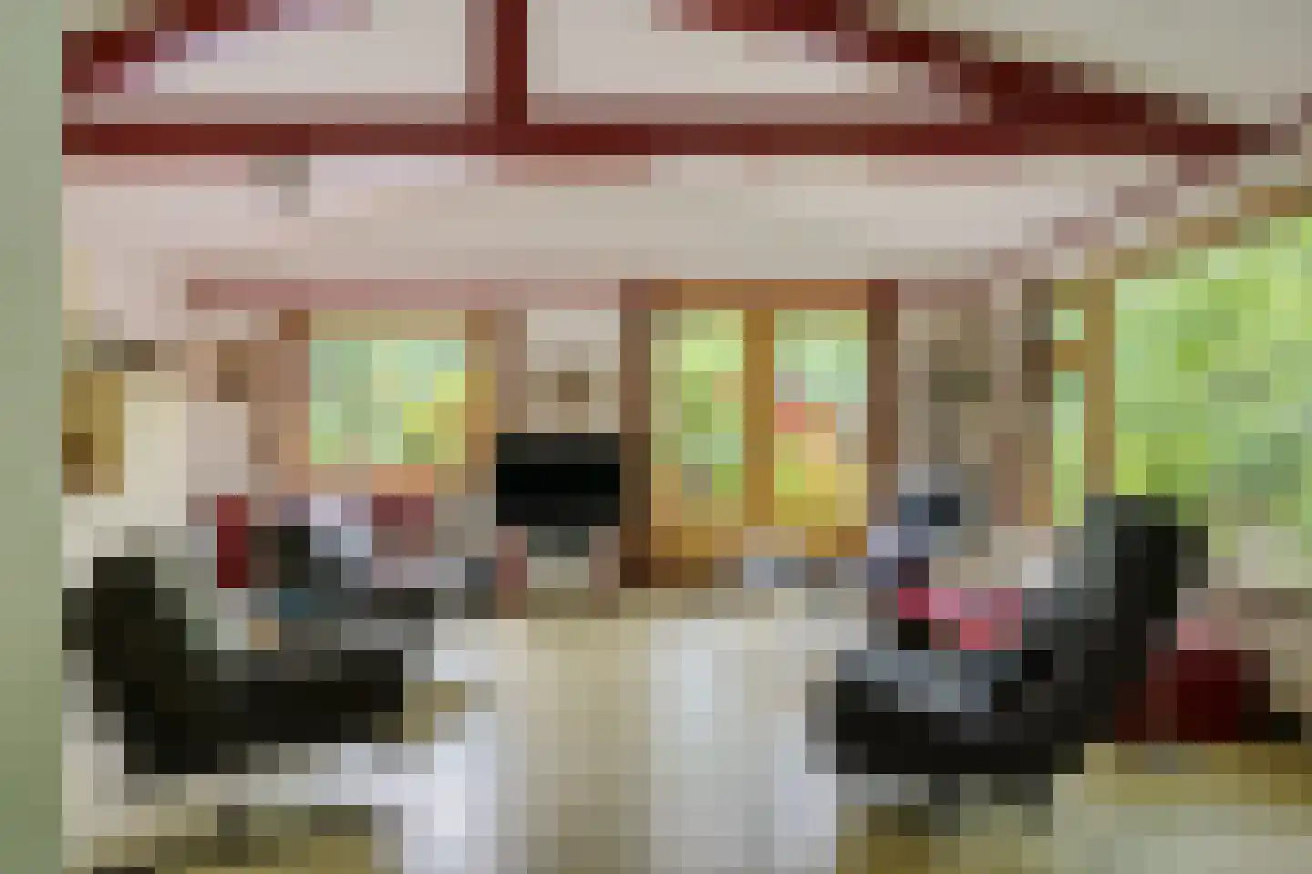 Beukenlaan Z 34 Oudemirdum thumbnail 17