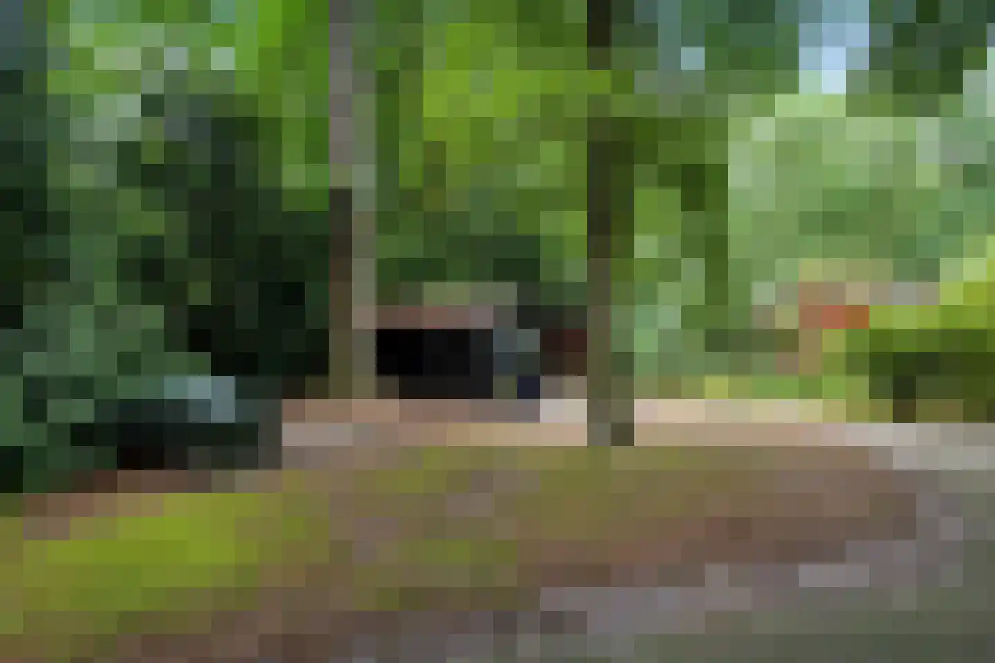 Beukenlaan Z 34 Oudemirdum thumbnail 19