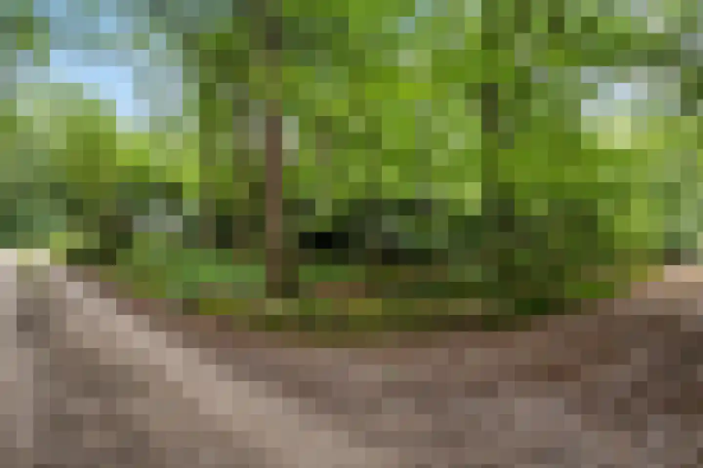 Beukenlaan Z 34 Oudemirdum thumbnail 25