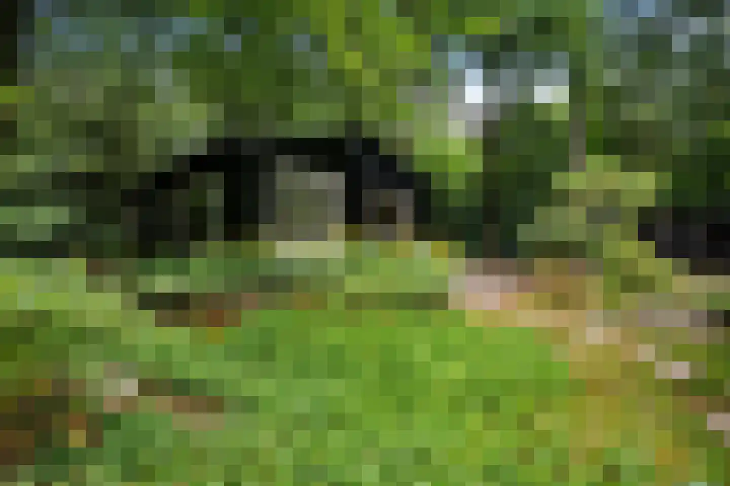 Beukenlaan Z 34 Oudemirdum thumbnail 26