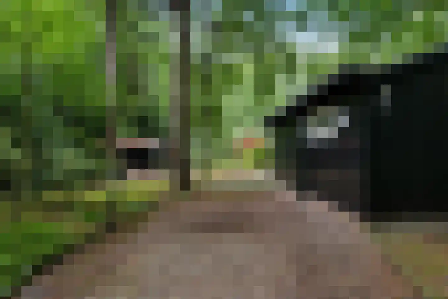 Beukenlaan Z 34 Oudemirdum thumbnail 28
