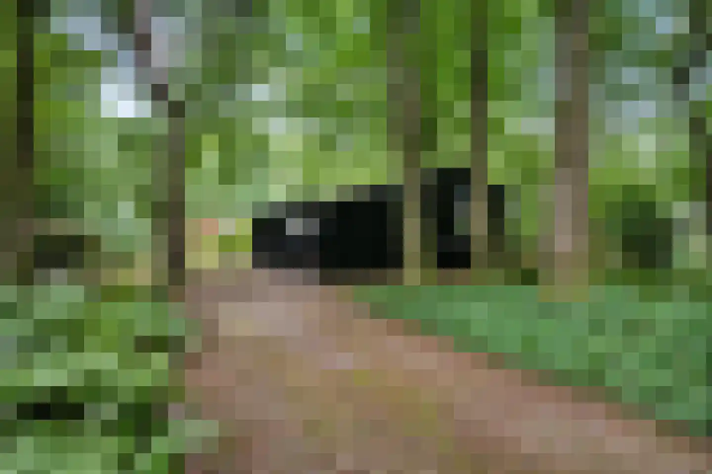 Beukenlaan Z 34 Oudemirdum thumbnail 29