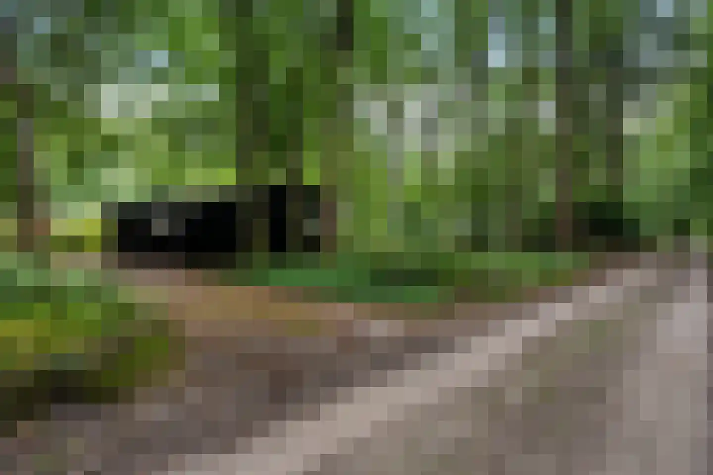 Beukenlaan Z 34 Oudemirdum foto 3