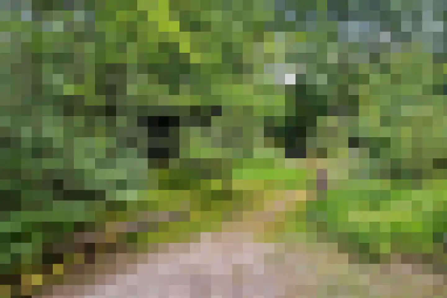 Beukenlaan Z 34 Oudemirdum thumbnail 30