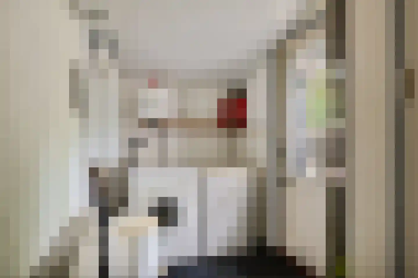 Beukenlaan Z 34 Oudemirdum thumbnail 5