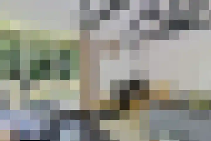 Beukenlaan Z 38 Oudemirdum thumbnail 10