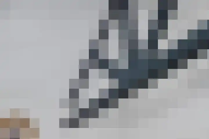 Beukenlaan Z 38 Oudemirdum thumbnail 11