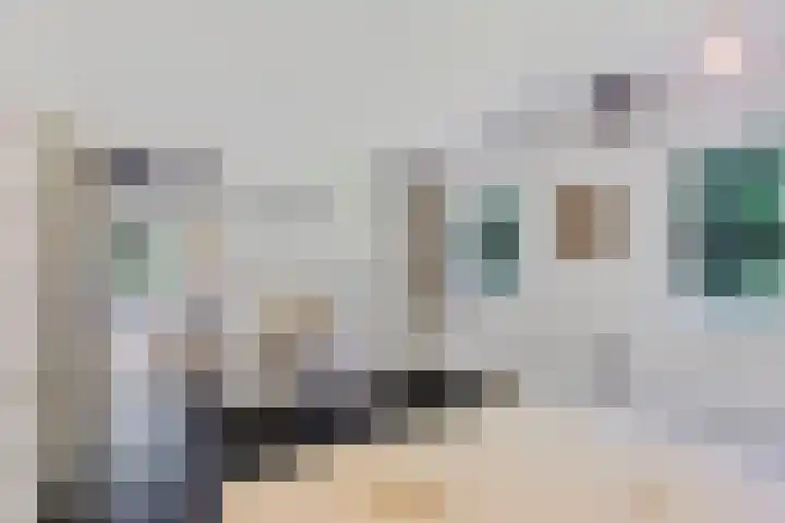Beukenlaan Z 38 Oudemirdum thumbnail 14