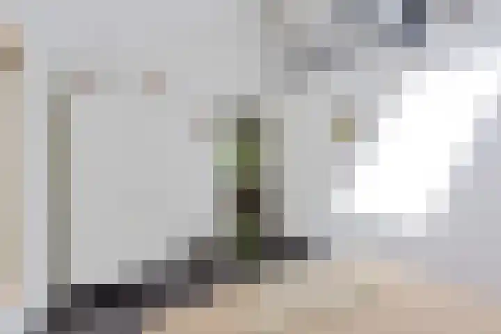 Beukenlaan Z 38 Oudemirdum thumbnail 15