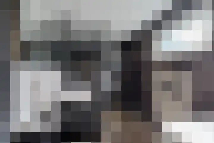 Beukenlaan Z 38 Oudemirdum thumbnail 22