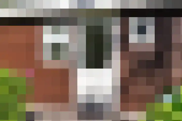 Beukenlaan Z 38 Oudemirdum thumbnail 26