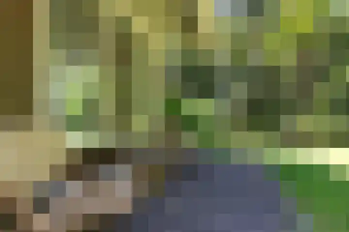 Beukenlaan Z 38 Oudemirdum thumbnail 27