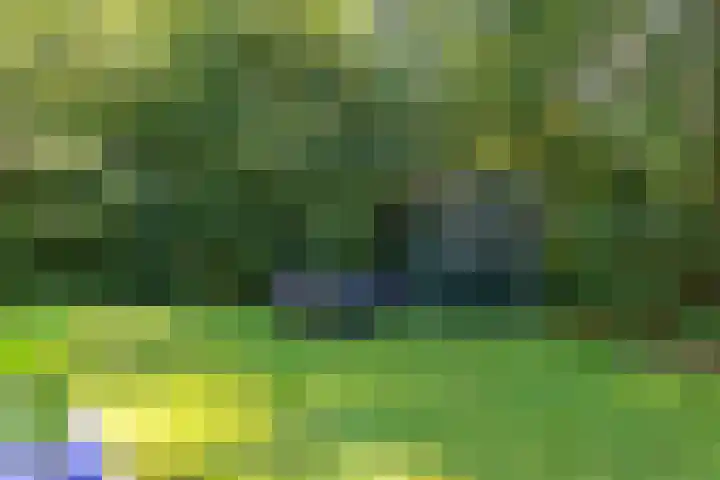 Beukenlaan Z 38 Oudemirdum thumbnail 28